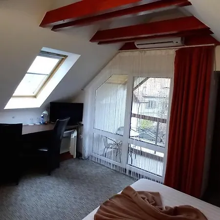 Pensiunea Riunione 3* 브라쇼브