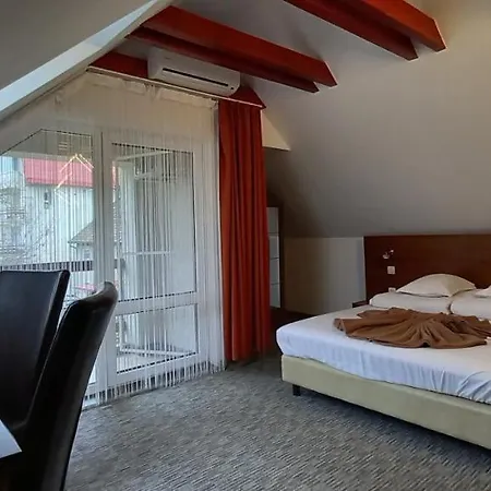 Гостевой дом Pensiunea Riunione