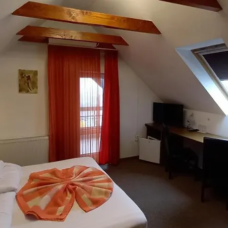 Pensiunea Riunione 3* 브라쇼브