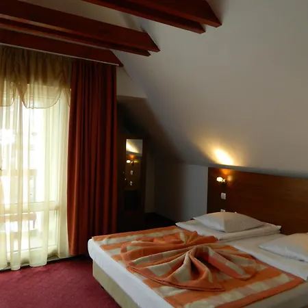 Гостевой дом Pensiunea Riunione Брашов