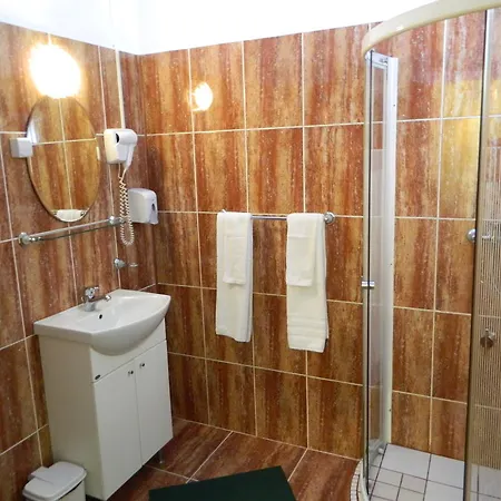 Pensiunea Riunione 3* 브라쇼브