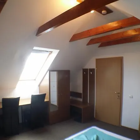 بيت ضيافة Pensiunea Riunione 3*