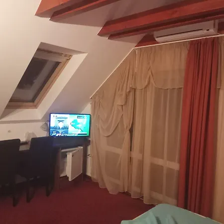 Гостевой дом Pensiunea Riunione