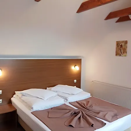 بيت ضيافة Pensiunea Riunione 3*