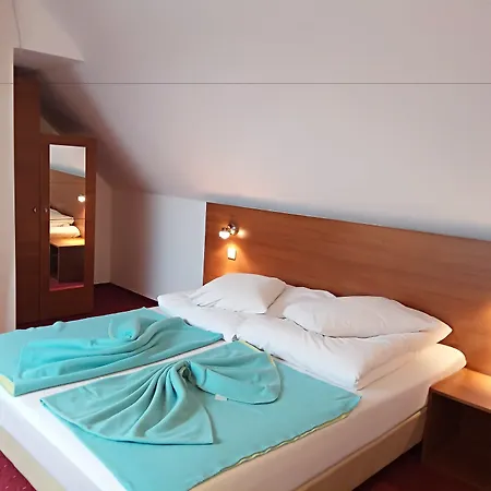 Pensiunea Riunione 3* Брашов