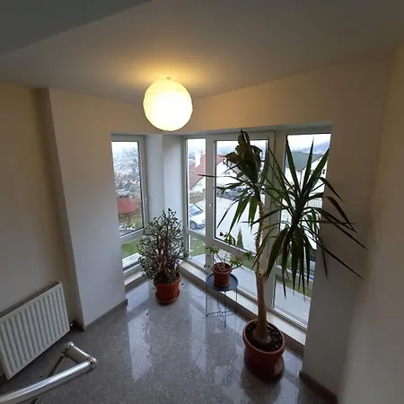 Pensiunea Riunione بيت ضيافة