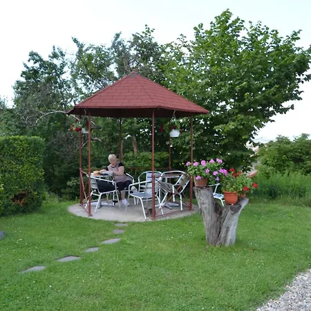 Pensiunea Riunione Гостевой дом 3*