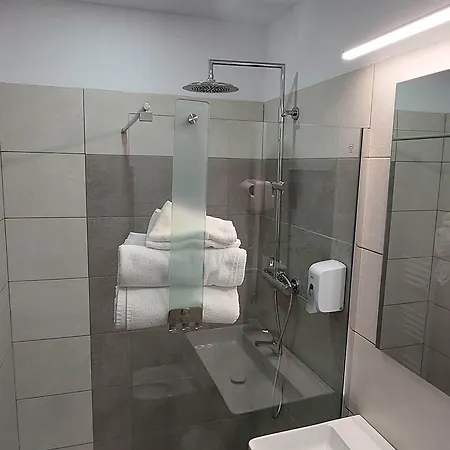 게스트하우스 Pensiunea Riunione