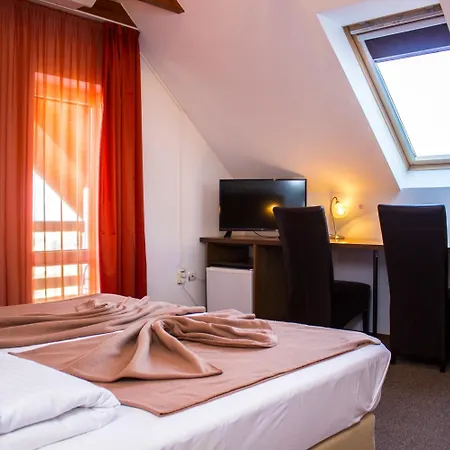 Гостевой дом Pensiunea Riunione