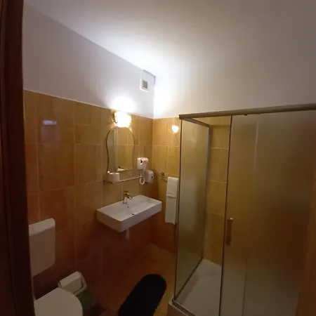 Pensiunea Riunione 브라쇼브