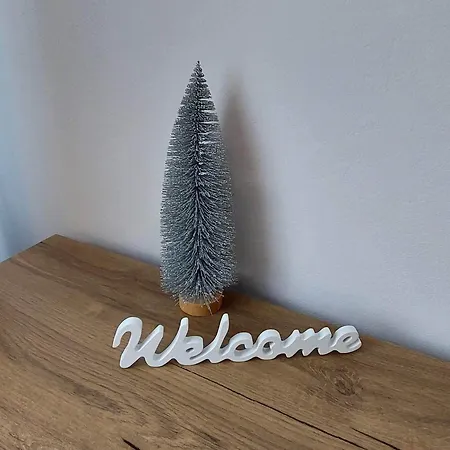 게스트하우스 Pensiunea Riunione 브라쇼브