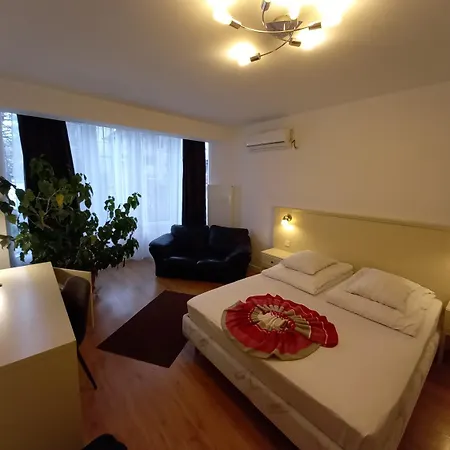 Pensiunea Riunione 3* براشوف