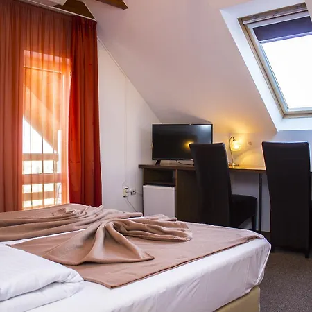 게스트하우스 Pensiunea Riunione