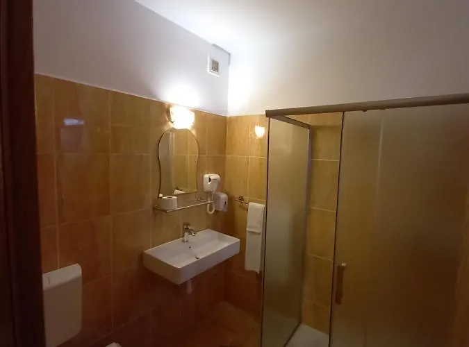 Guest house Pensiunea Riunione Brasov