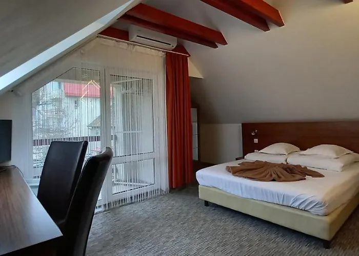 Guest house Pensiunea Riunione