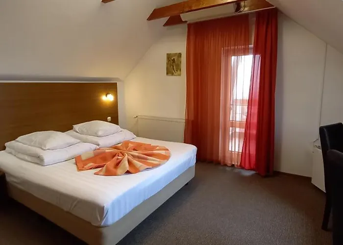 Pensiunea Riunione 3* Brasov