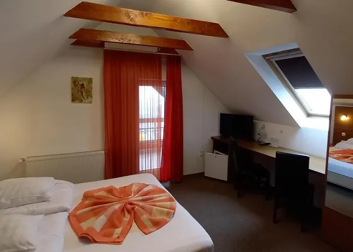 Pensiunea Riunione 3* Brasov