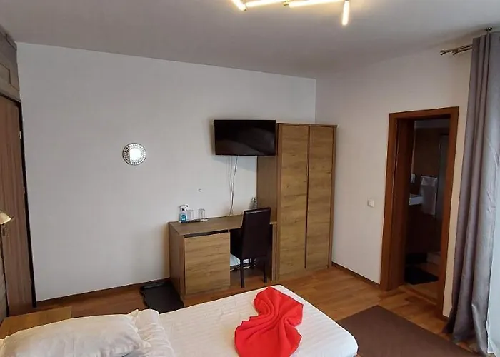 热恩尼翁旅馆 布拉索夫