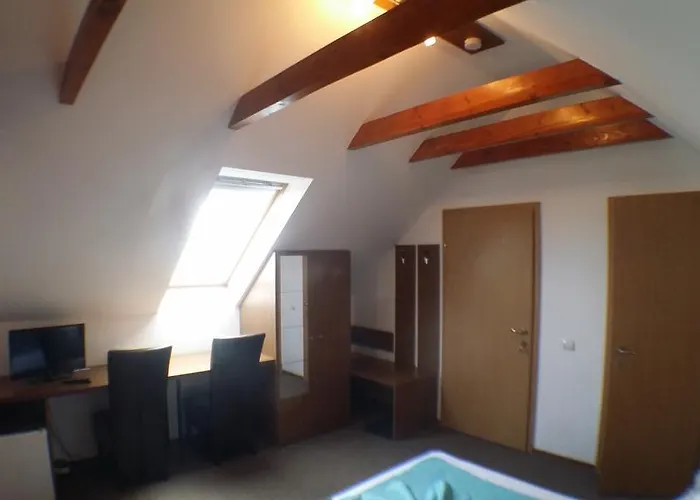 Guest house Pensiunea Riunione 3*