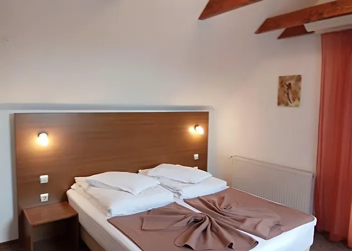 Affittacamere Pensiunea Riunione 3*