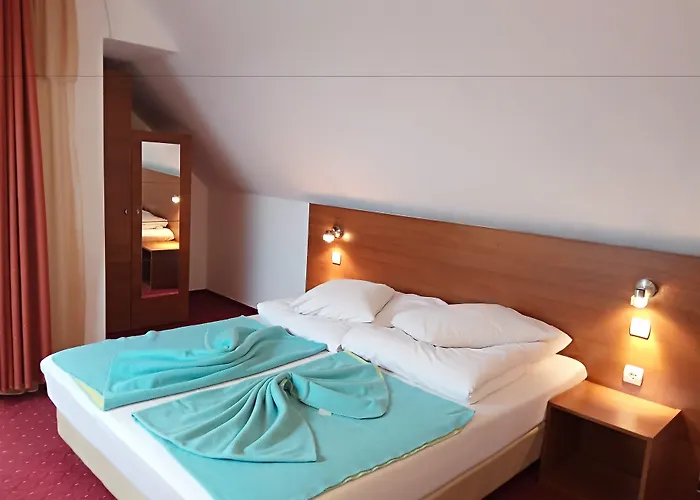 Pensiunea Riunione 3* Braşov