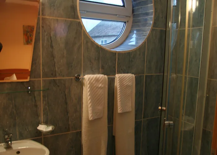 Pensiunea Riunione Guest house