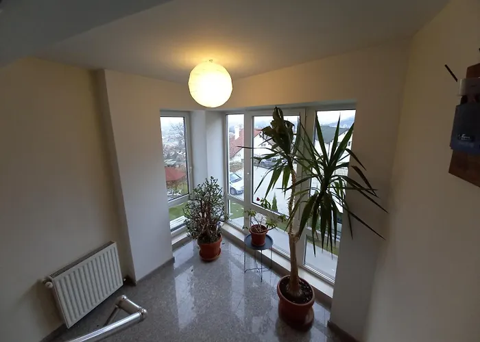 Pensiunea Riunione Guest house