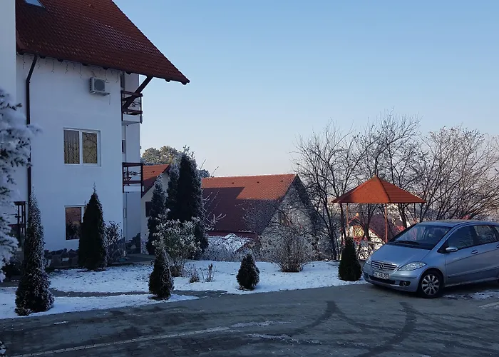Pensiunea Riunione Guest house Brasov