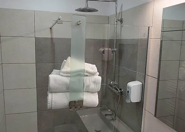 Guest house Pensiunea Riunione