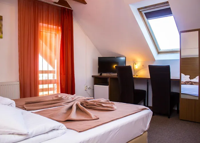 Guest house Pensiunea Riunione