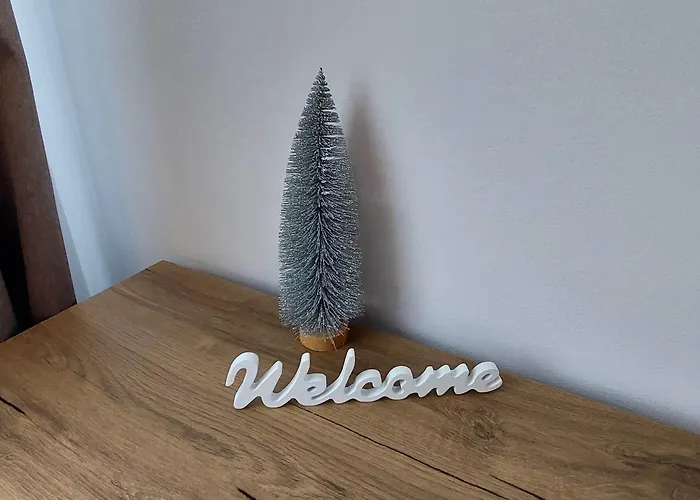 Guest house Pensiunea Riunione Brasov