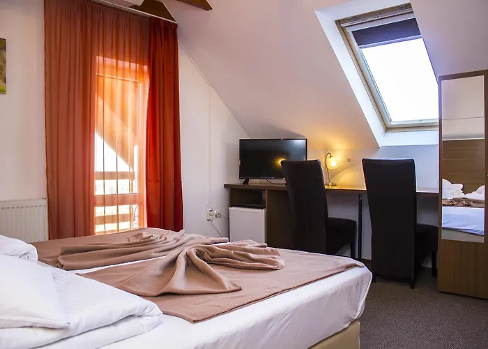 Guest house Pensiunea Riunione